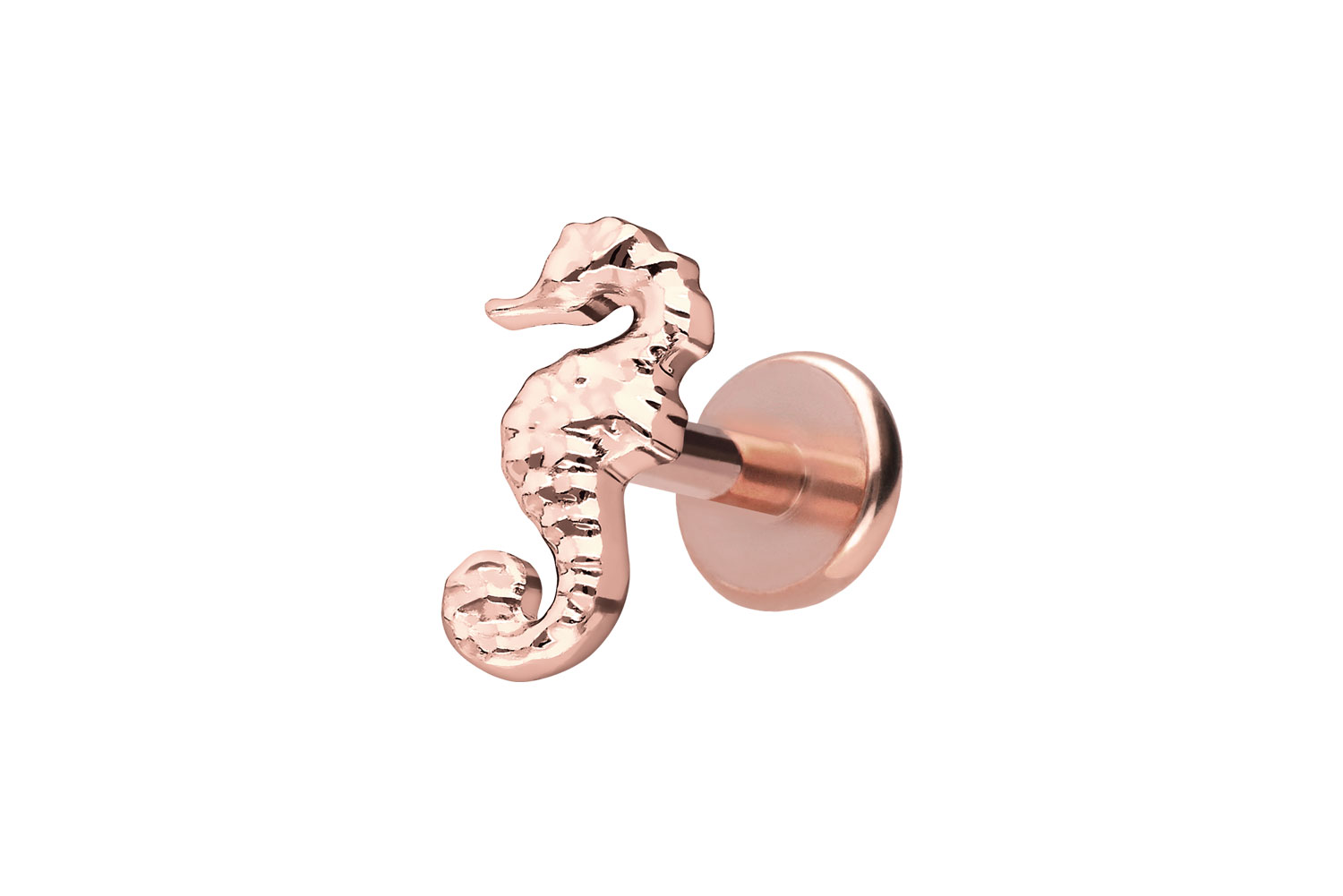 Titan Labret Piercing mit Push Fit SEEPFERDCHEN